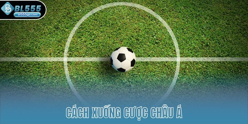 bl555-ca-do-bong-da-ao-chau-a