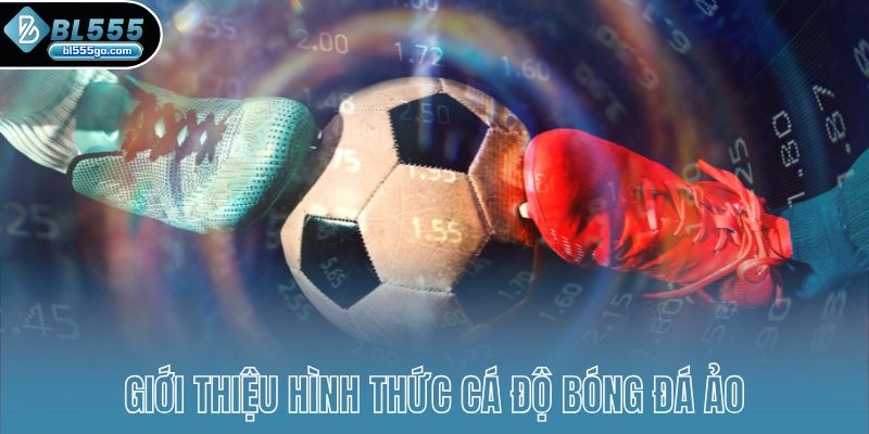 bl555-ca-do-bong-da-ao-gioi-thieu