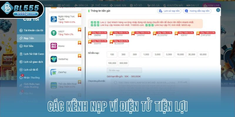 bl555-thanh-toan-kenh-nap